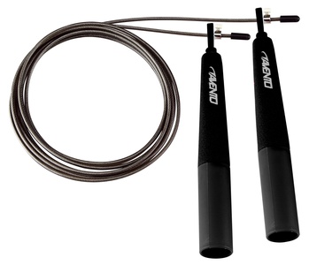 Šokdynė AVENTO 42HO 290cm Steel Black